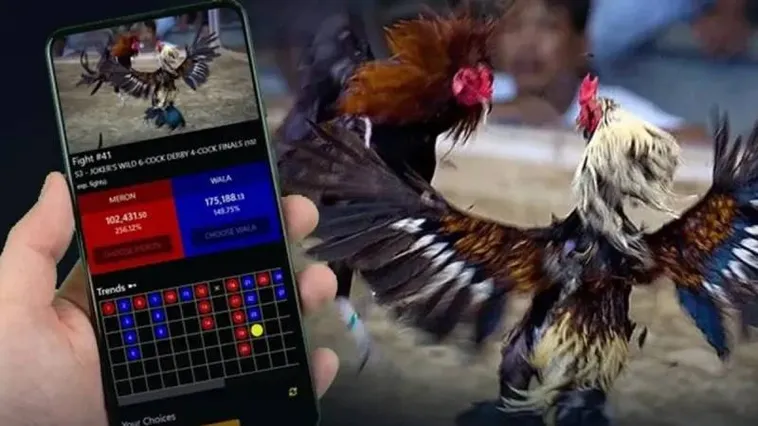 Niềm Hấp Dẫn Của Đá Gà Hi88 Trong Giới Giải Trí Trực Tuyến Hiện Nay